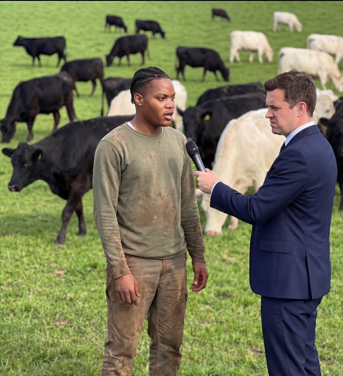 Interviewer: How much milk does your cow produce?🥛
Farmer: Which one, the black one or the white one?🐄
Interviewer: The black one.
Farmer: 2 litres per day.
Interviewer: And the white one?
Farmer: 2 litres per day.

Interviewer: Your cows look healthy. What do you feed them?