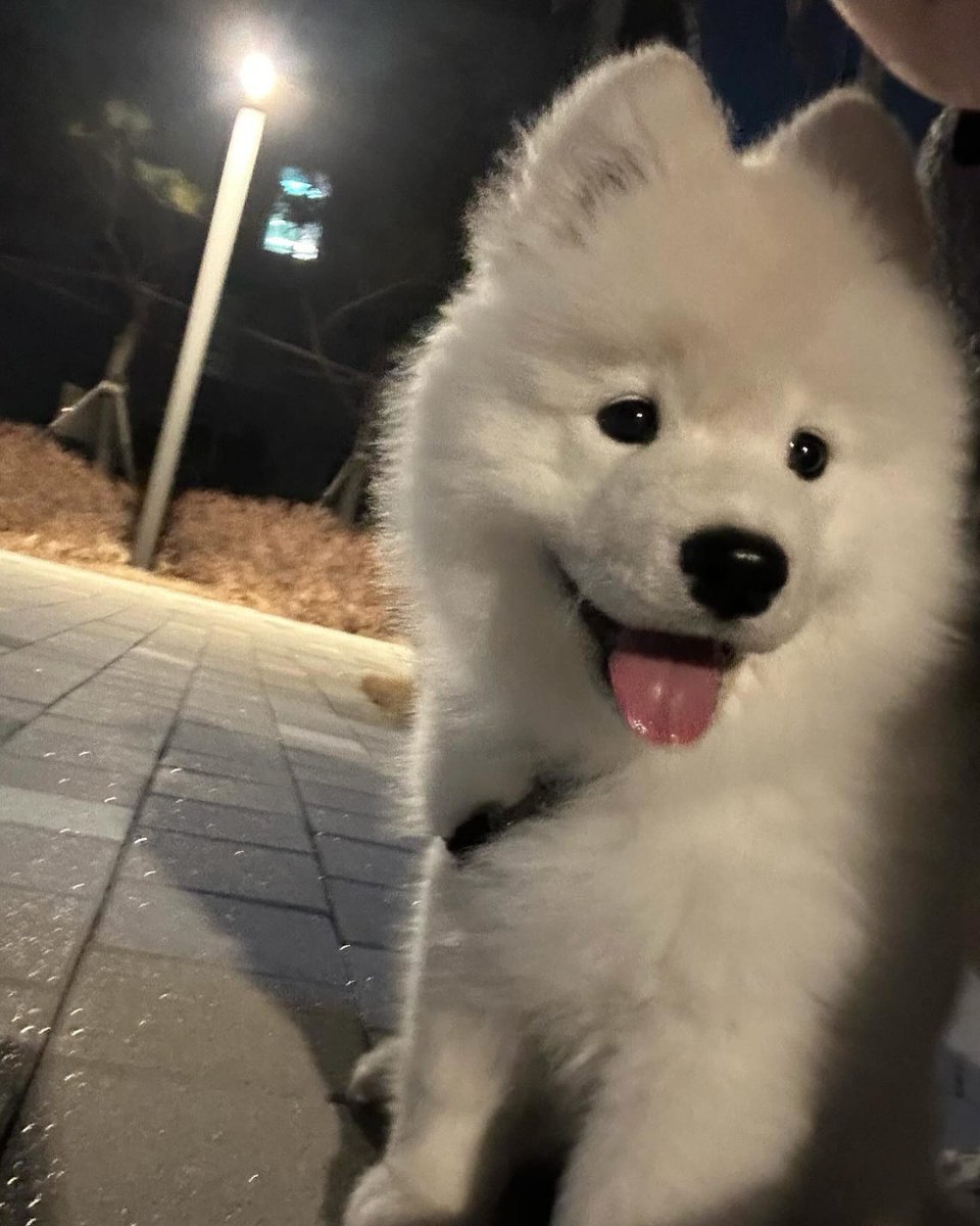 mimi ୨ৎ tweet media