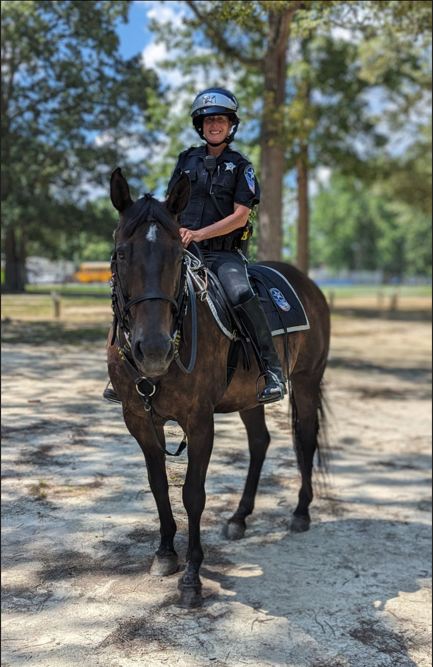 Chesterfield County Sheriff's Office VA tweet media