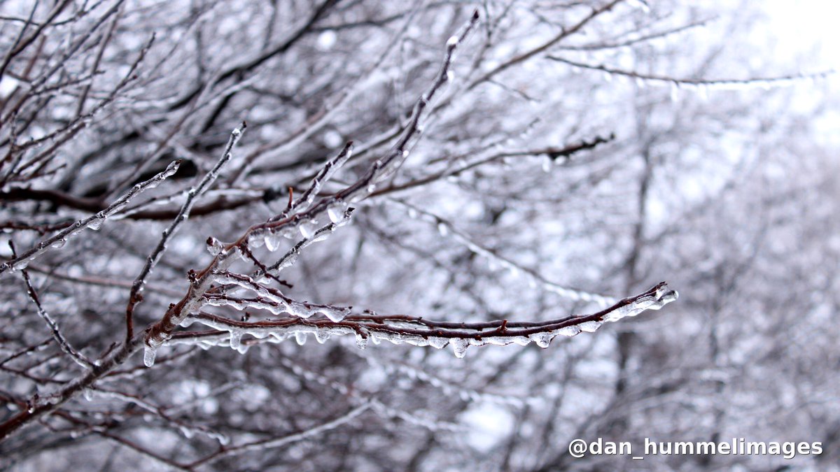 wxman_dan's tweet photo. Icy scenes in Western NY this morning! All this to make a run at 70° tomorrow 🧊 #nywx @Wxandgardenguy @EricSnitilWx @NWSBUFFALO https://t.co/EItt9po4Rg