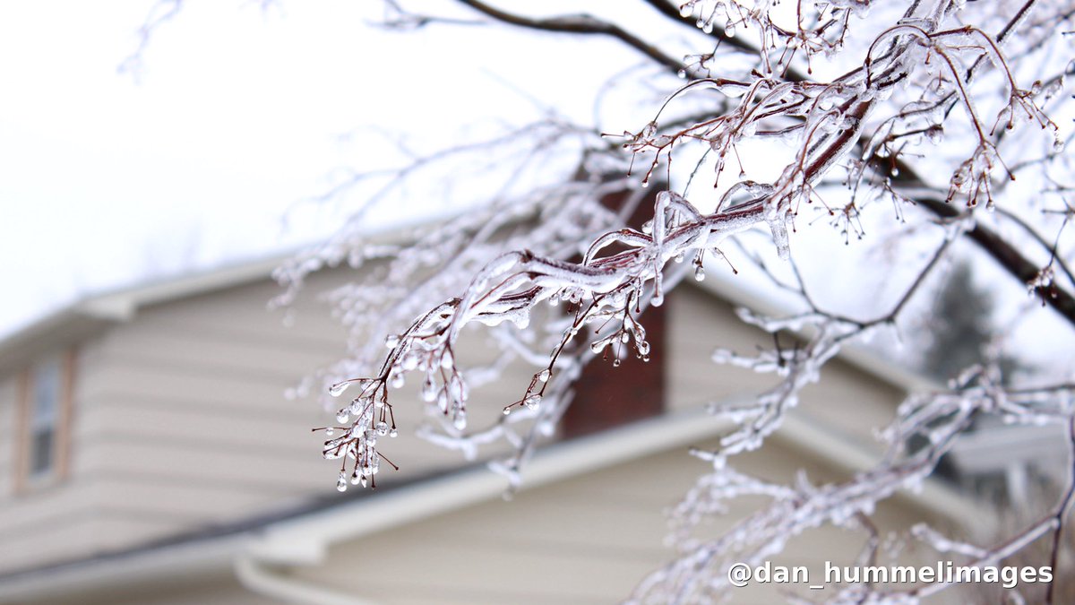 wxman_dan's tweet photo. Icy scenes in Western NY this morning! All this to make a run at 70° tomorrow 🧊 #nywx @Wxandgardenguy @EricSnitilWx @NWSBUFFALO https://t.co/EItt9po4Rg