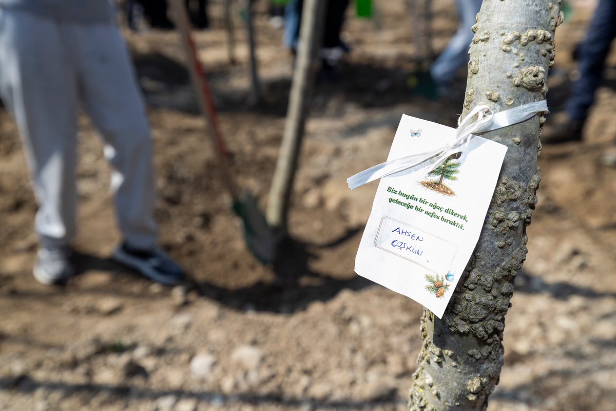 Her şey sizinle güzel. Ekilen tohum, dikilen fidan, yapraklarıyla adeta sizi kucaklayan yemyeşil bir ağaç. 🤍

Birlikte can suyu verdiğimiz günü hatırlayın, gölgesinde soluklanın, geleceğinize sımsıkı sarılın.

İyi ki varsın Ahsen, iyi ki varsınız çocuklar, tüm çabamız sizin
