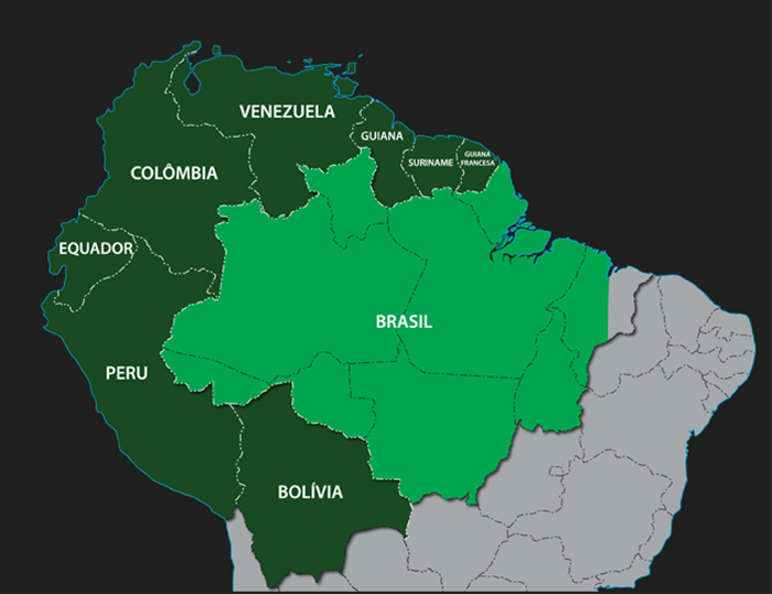 SheilaSacks's tweet photo. Amazônia: valorização do ouro fez disparar a extração ilegal do minério, em 2025, aponta relatório internacional. Grupos criminosos se associam a garimpos ilegais e compartilham rotas de tráfico.
https://t.co/mUGMD1zbyk https://t.co/Bk3N5MpYJV