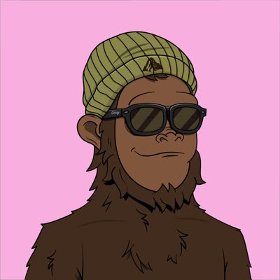 jeremy tweet media