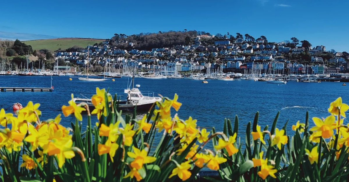 Visit Devon tweet media