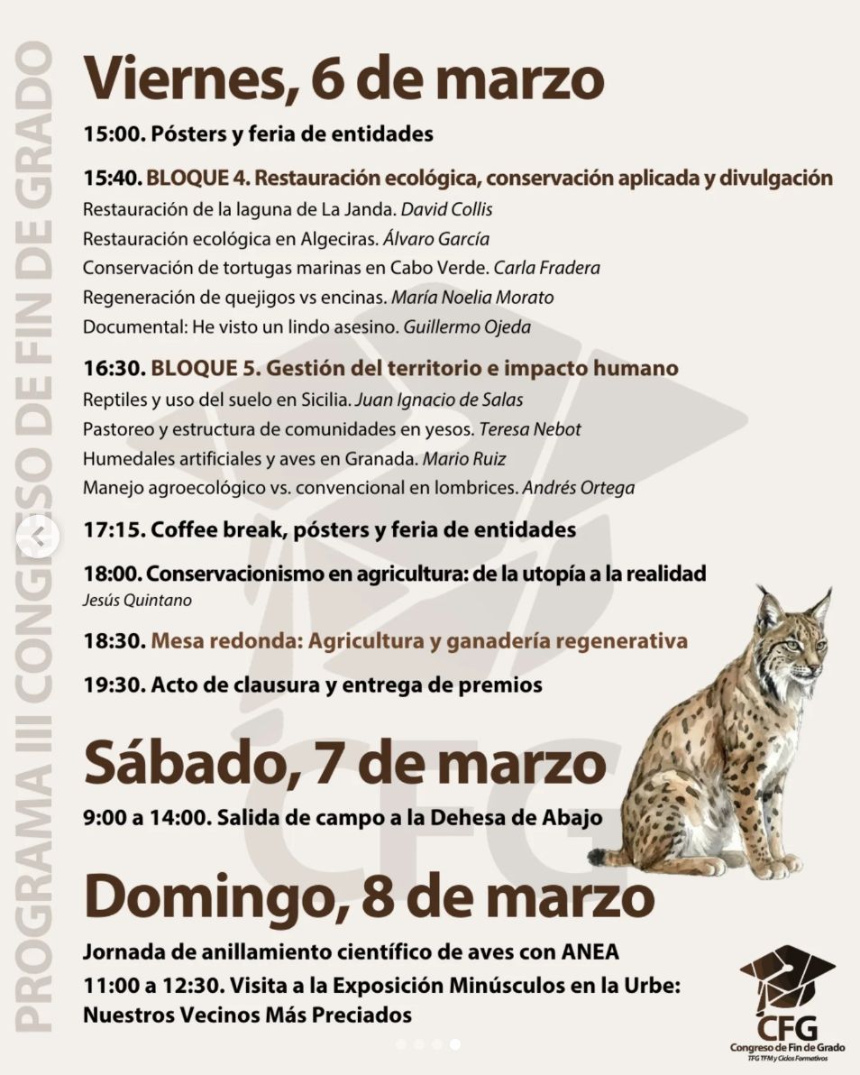 Educación Dos Hermanas tweet media
