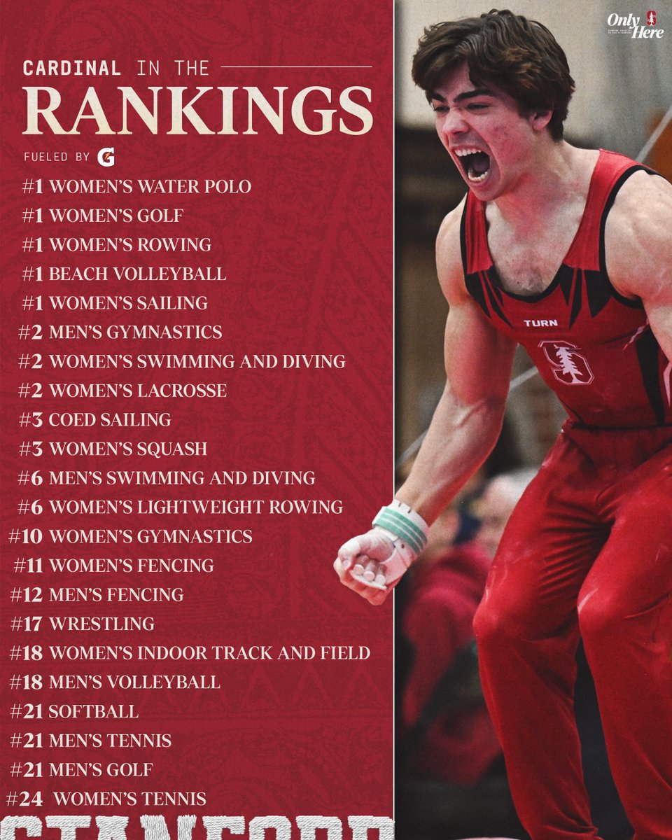 Stanford Cardinal 🌲🤓 tweet media