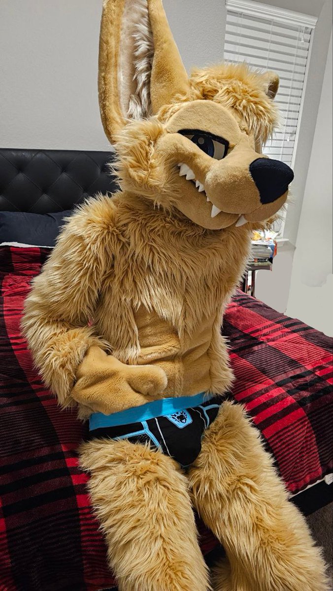 You wanna take it a little further~?
#FursuitFriday #MoreFurLess