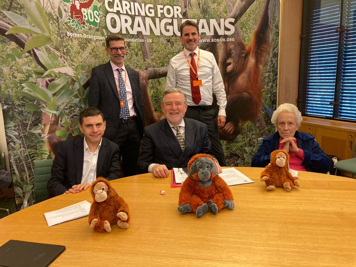 The ICCF Group tweet media