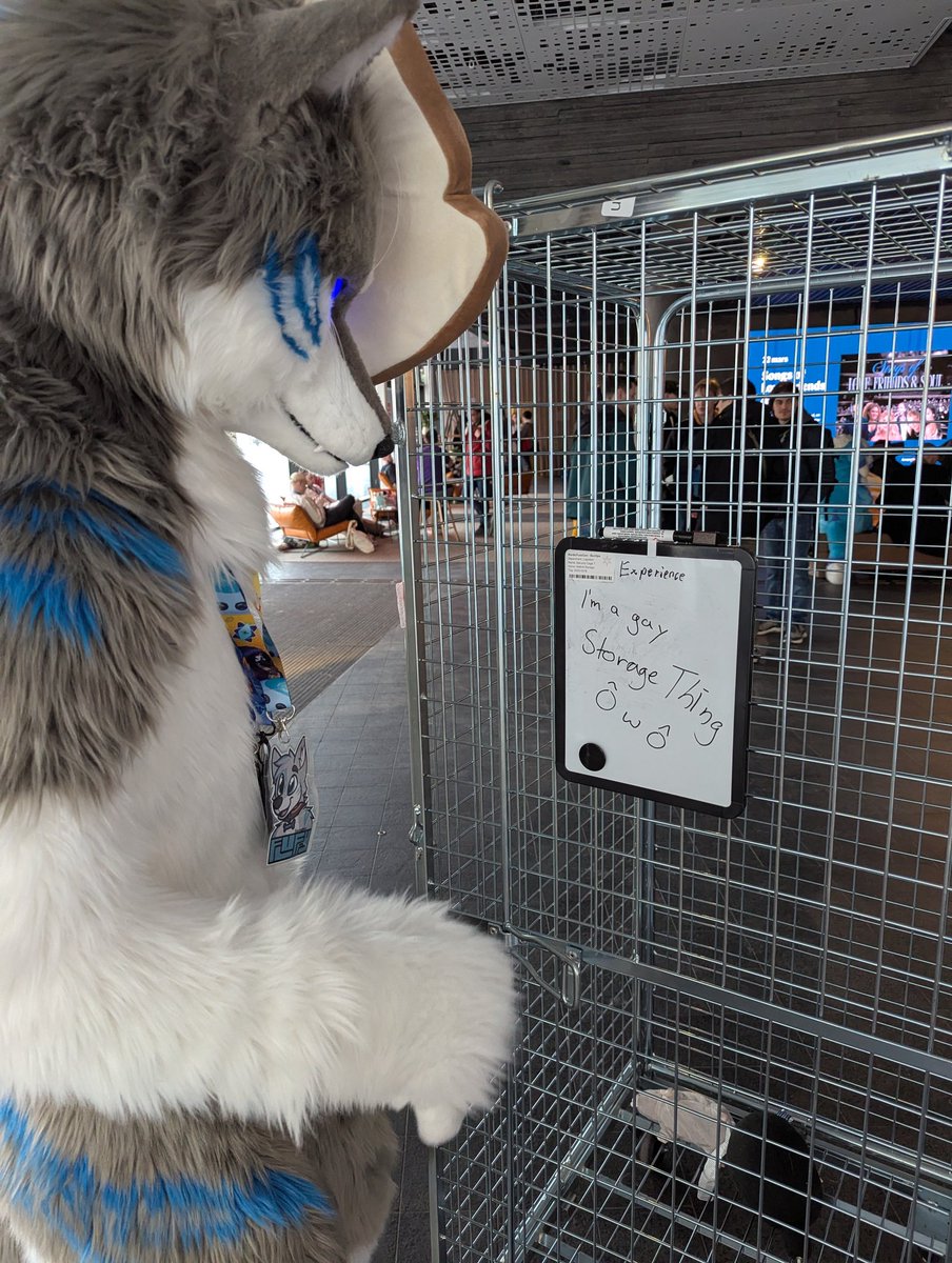 FlauscheWolf's tweet photo. I got trapped D:
#NFC2026
#FursuitFriday https://t.co/hKl5ltK81k