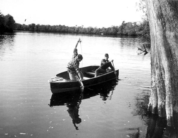 State Library of FL tweet media