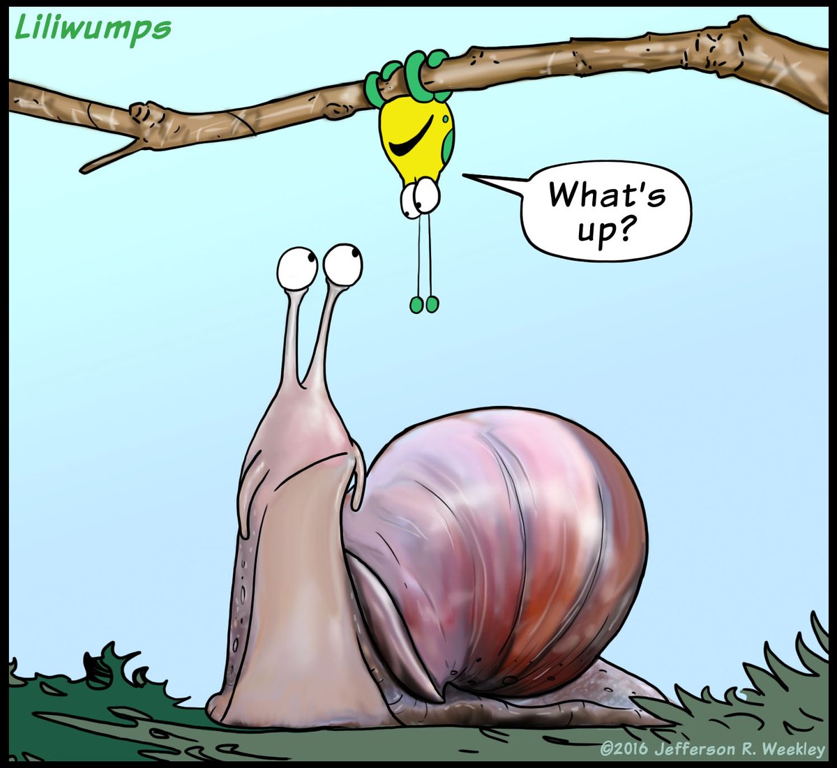 Jefferson R. Weekley (@nawalli777) on Twitter photo 