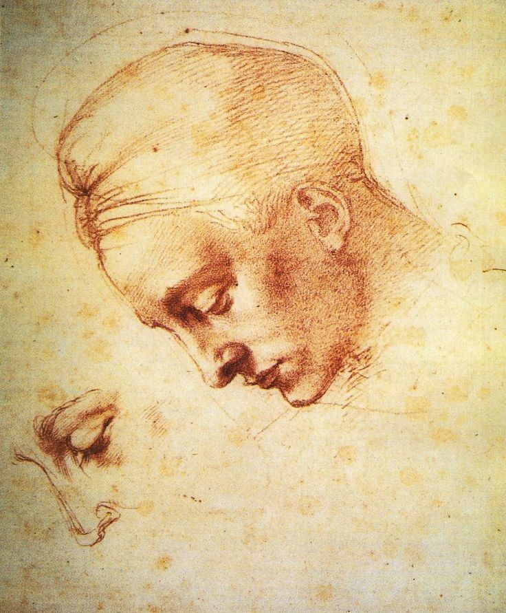 RamellaUgo's tweet photo. "Fallace speme ha sol l'amor che muore" Michelangelo "Rime" suo il disegno https://t.co/4QvscpTOxd