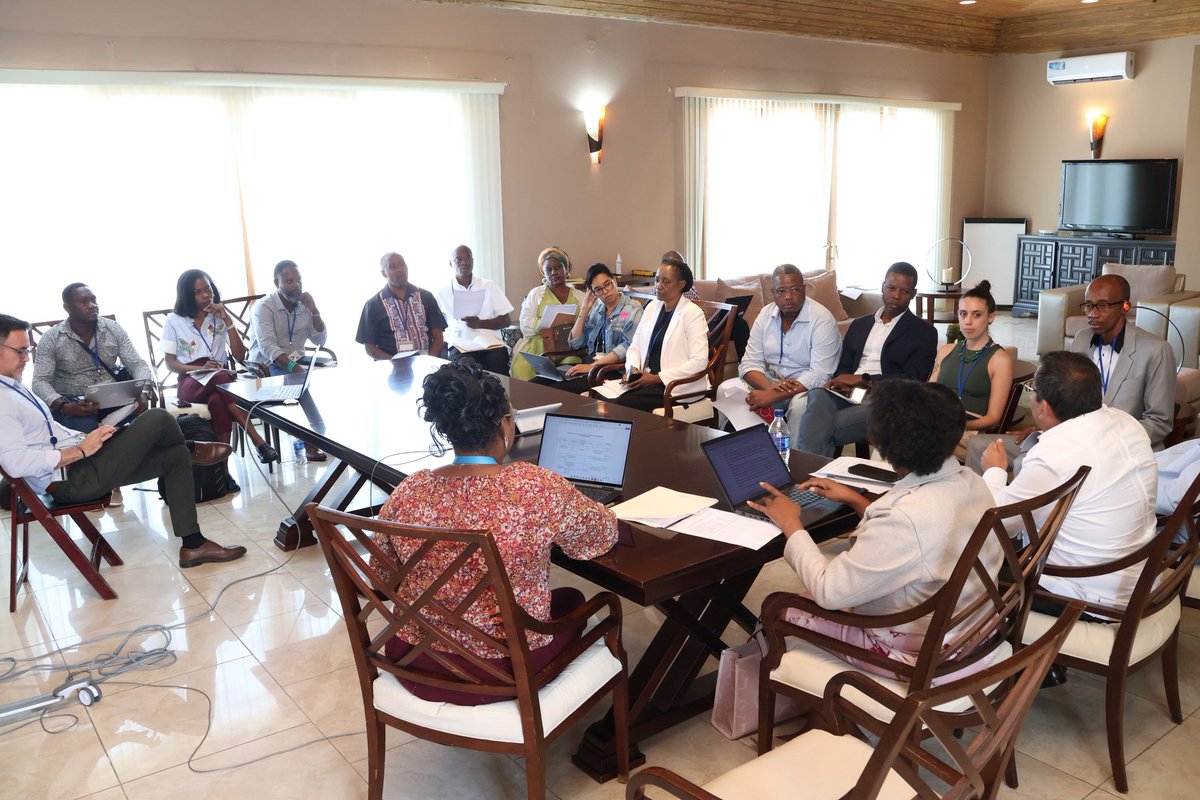 Patnè nasyonal ak entènasyonal yo te reyini nan #BINUH pou identifye zòn ki pi nesesè pou #DDR_RVC fè entèvansyon l yo, travay sa ap pèmèt yo sible aksyon, fè prevansyon sou zak vyolans epi kreye estabilite nan kominote yo.