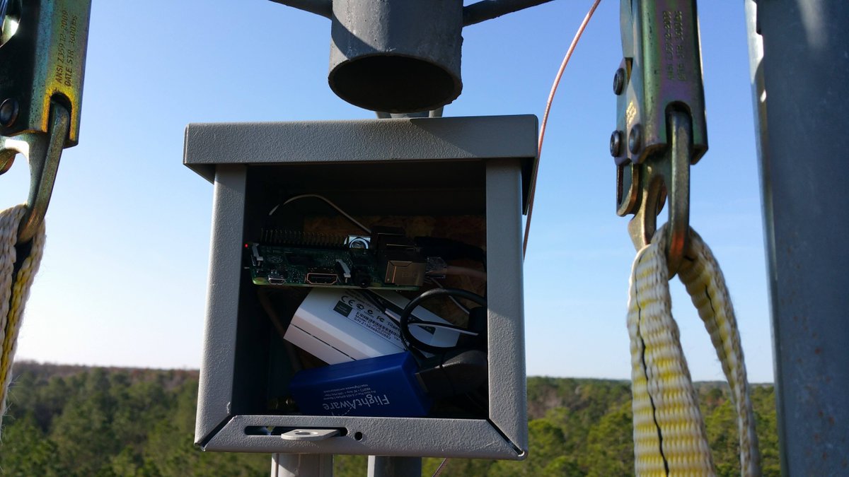 FlightAware tweet media