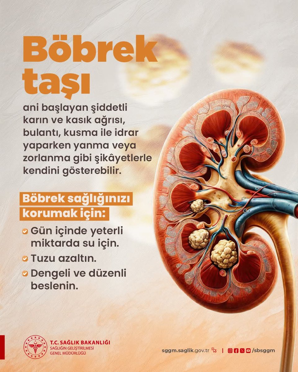 Böbrekler vücudumuzun atık maddeleri temizleyen hayati organlarıdır. Yeterli su içmemek, böbrek taşı riskini artırabilir.

Böbrek sağlığınız için su tüketimine dikkat edin ve sağlıklı beslenin.

#SağlıklıTürkiyeYüzyılı
#SağlığıGeliştirenTürkiye
#BöbrekSağlığı