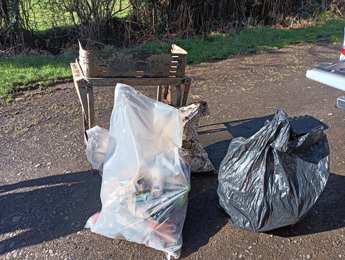 Donna Rainey tweet media