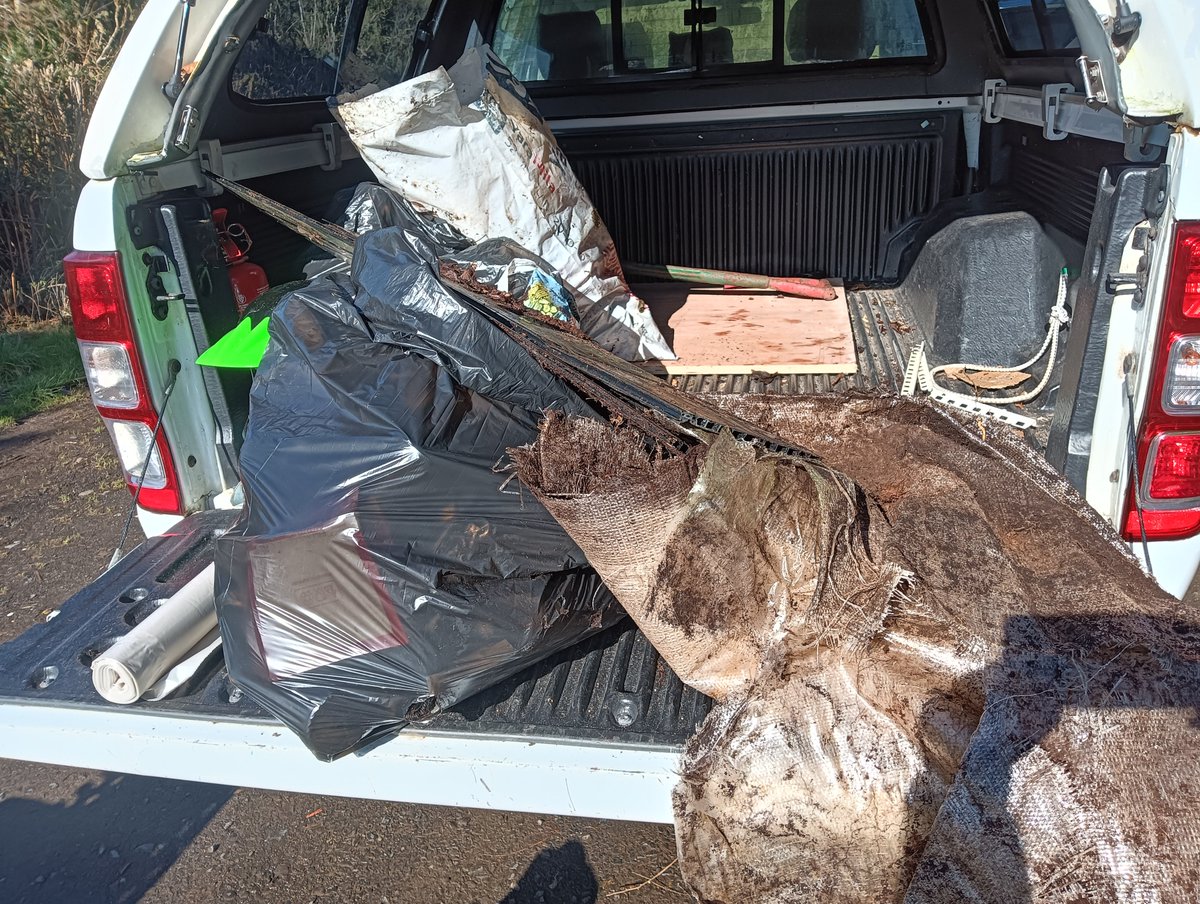 Donna Rainey tweet media