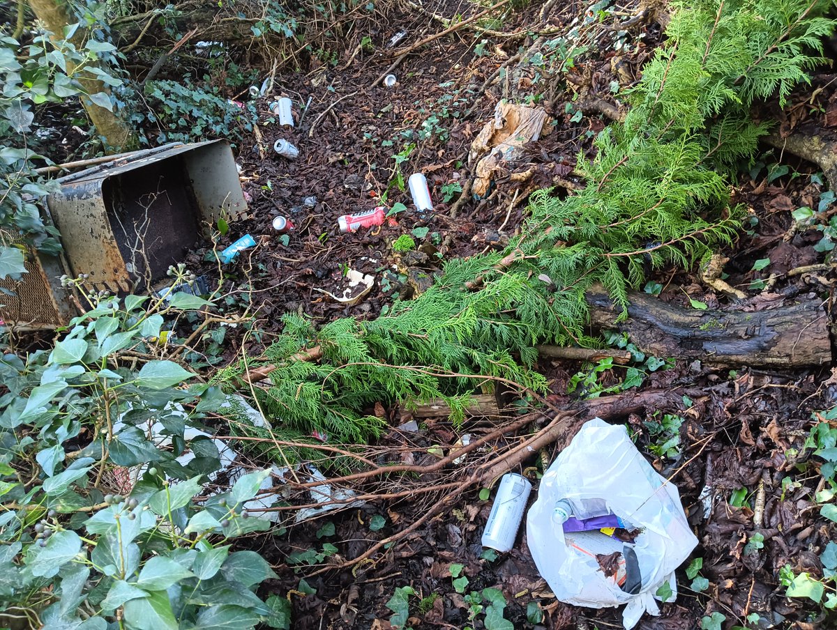 Donna Rainey tweet media