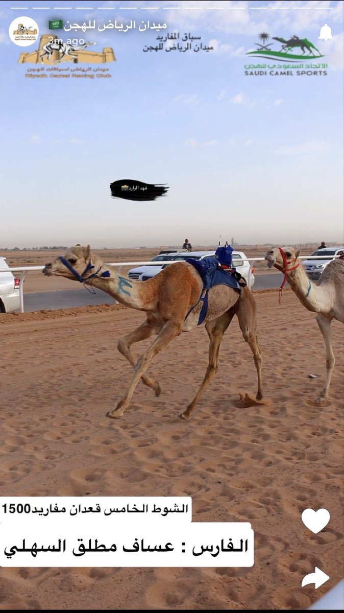 مطلق العساف السهلي tweet media