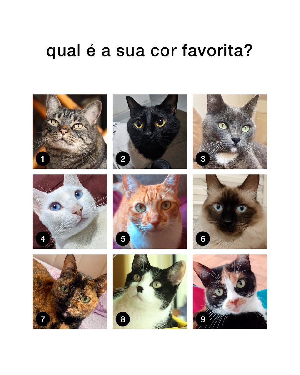 canseidesergato's tweet photo. https://t.co/UhXUxm7VmN