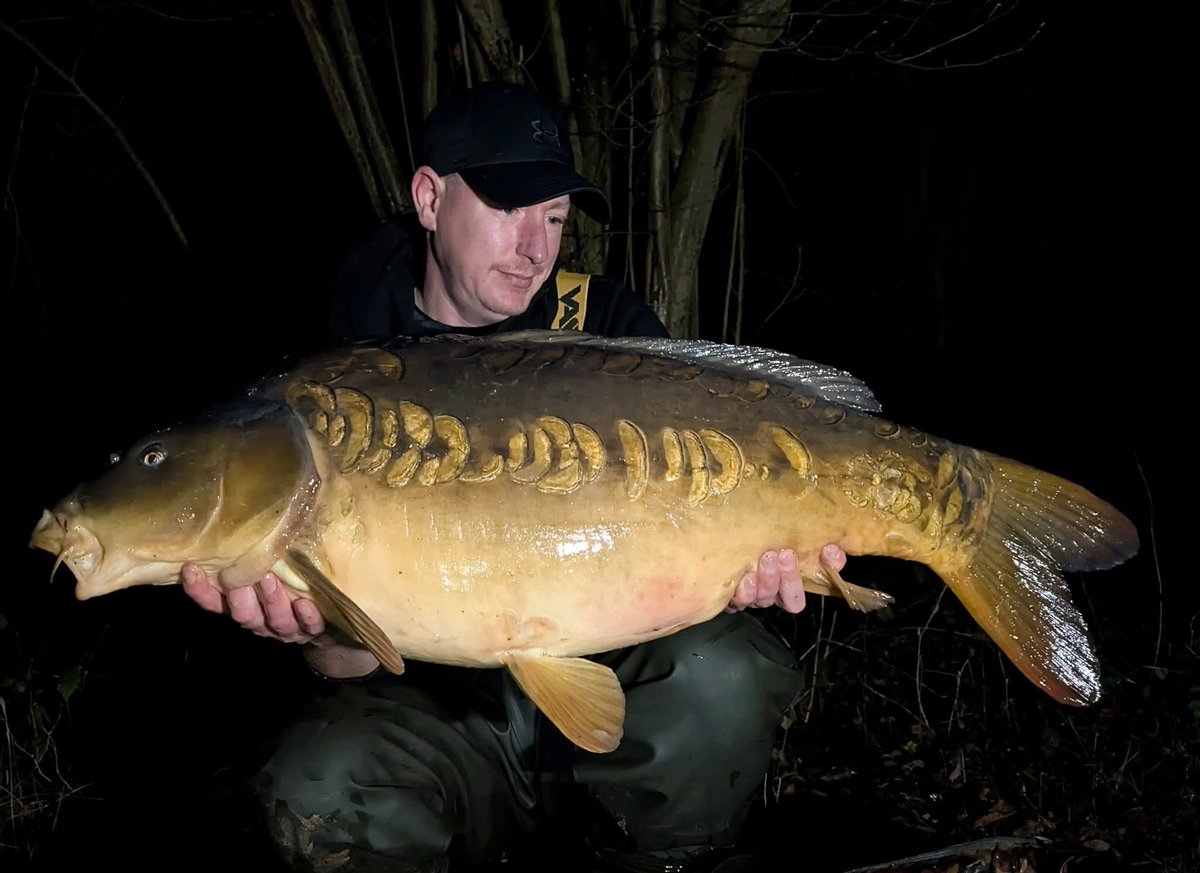 Mainline Baits Official tweet media