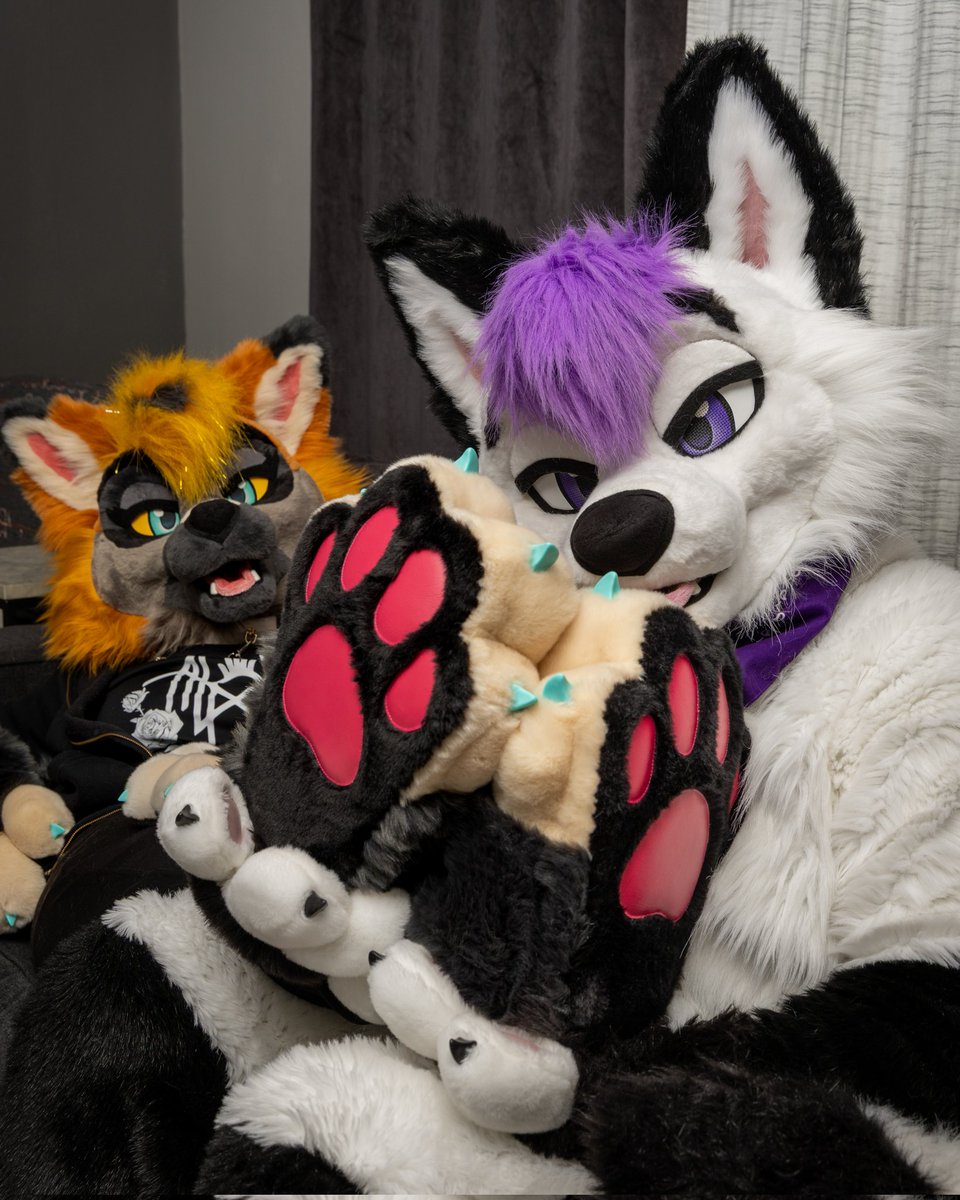 LavenderFoxxo's tweet photo. When your friend puts her paws on your lap, you gotta give them some rubs 😉 
#FursuitFriday 
🦊 Cricket (IG) 
📷 @_itneo_ https://t.co/n22kqulrL8
