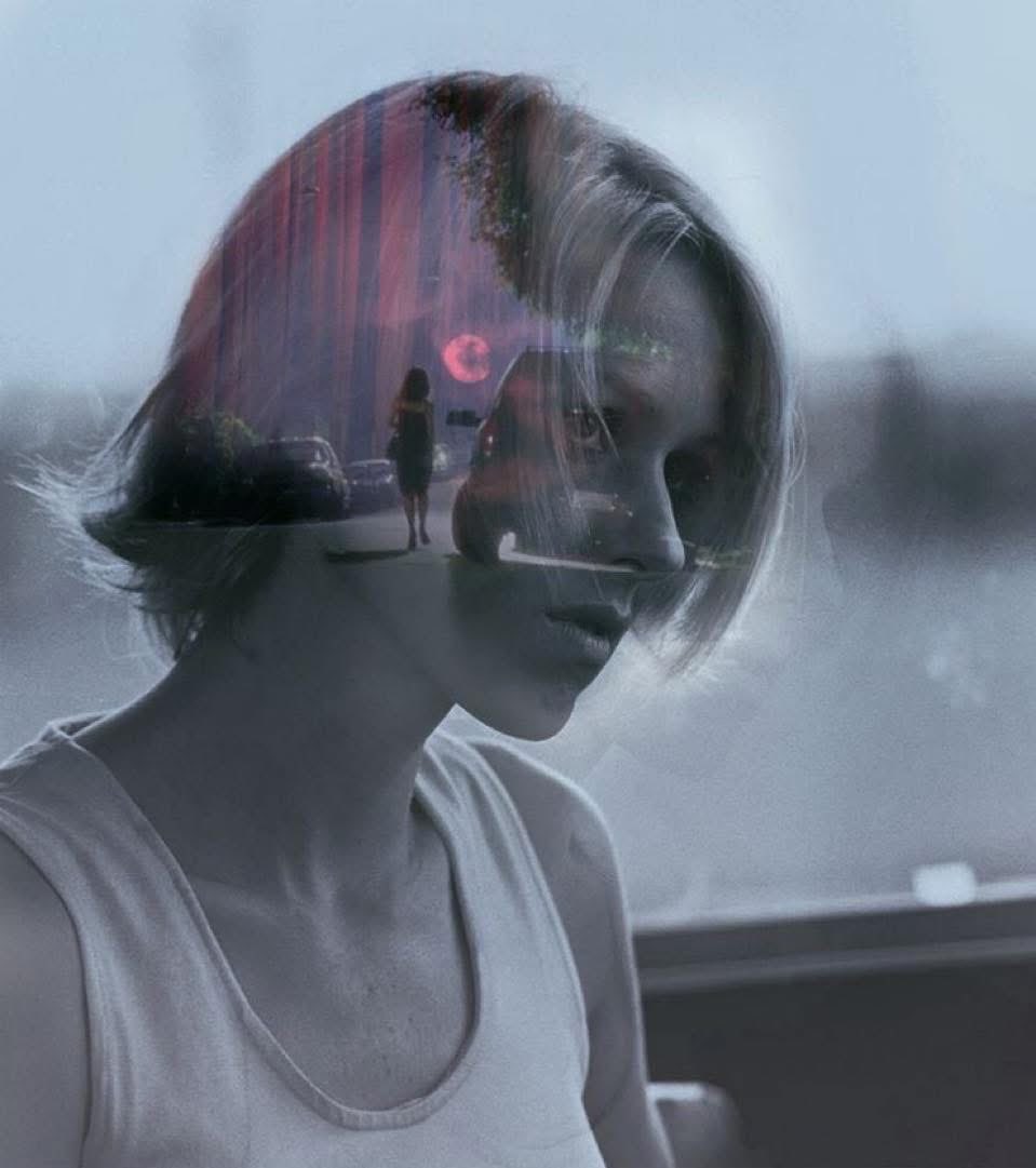 Wild at Heart tweet media