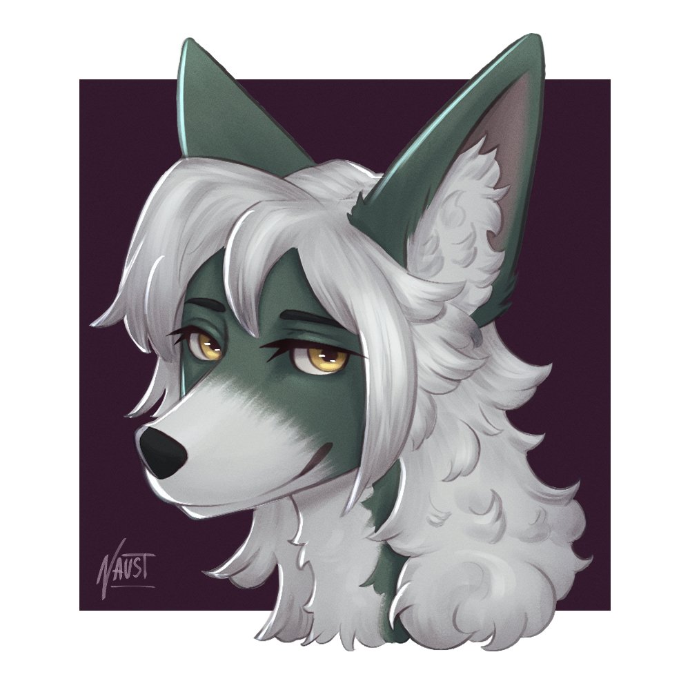 Naust (CMs open✨) tweet media