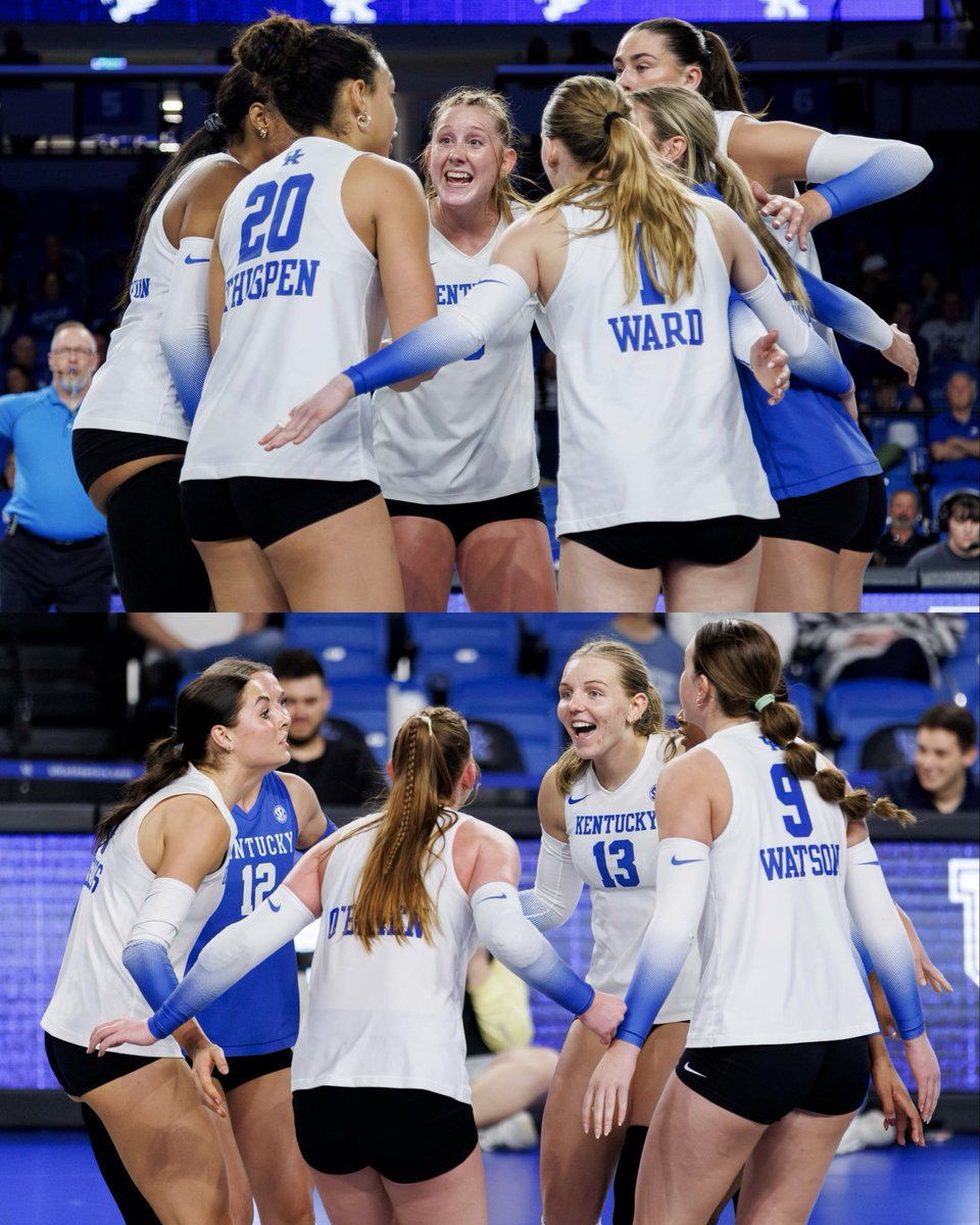 Kentucky Volleyball tweet media