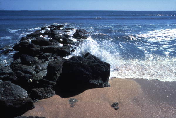 State Library of FL tweet media