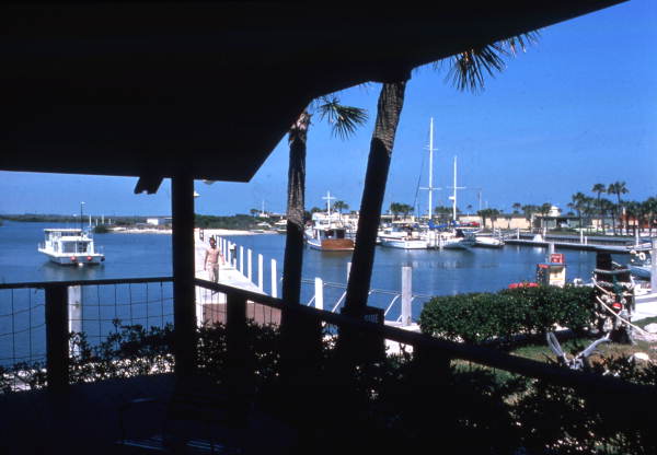 State Library of FL tweet media