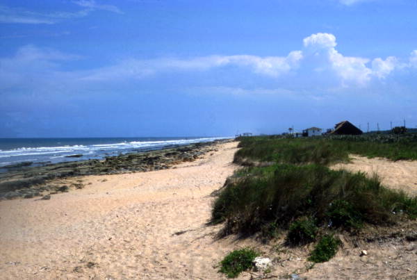 State Library of FL tweet media