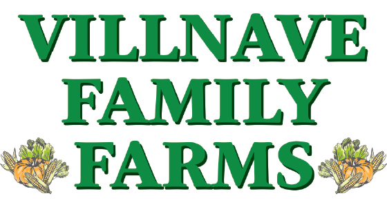 Fresh, locally grown cabbage remains available in Central New York this winter from Villnave Family Farms!🥬 - crop2.shop/villnave-famil…