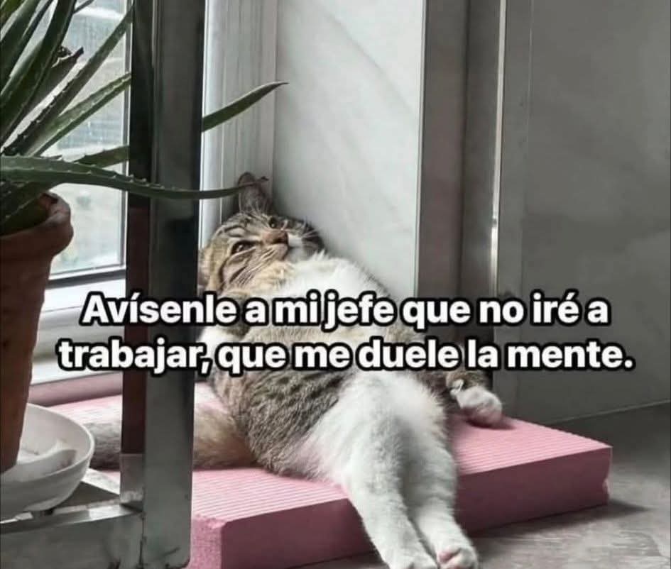 Lonely🥀 tweet media