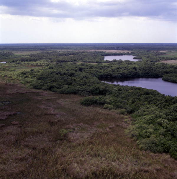 State Library of FL tweet media