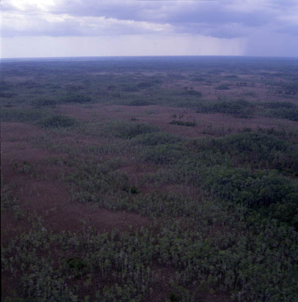 State Library of FL tweet media