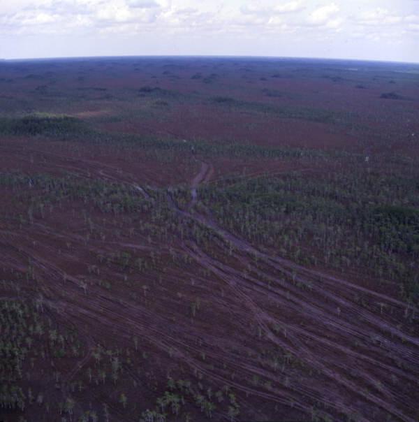 State Library of FL tweet media