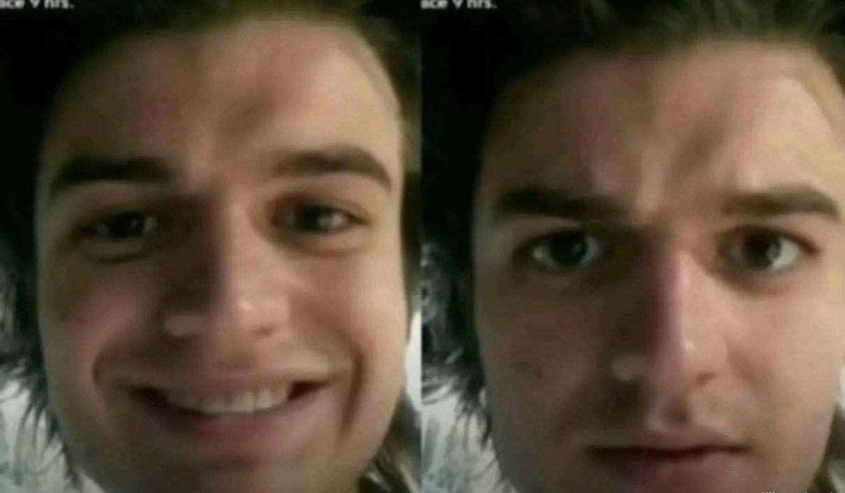 🐝honey bee ⊬🇺🇦 tweet media