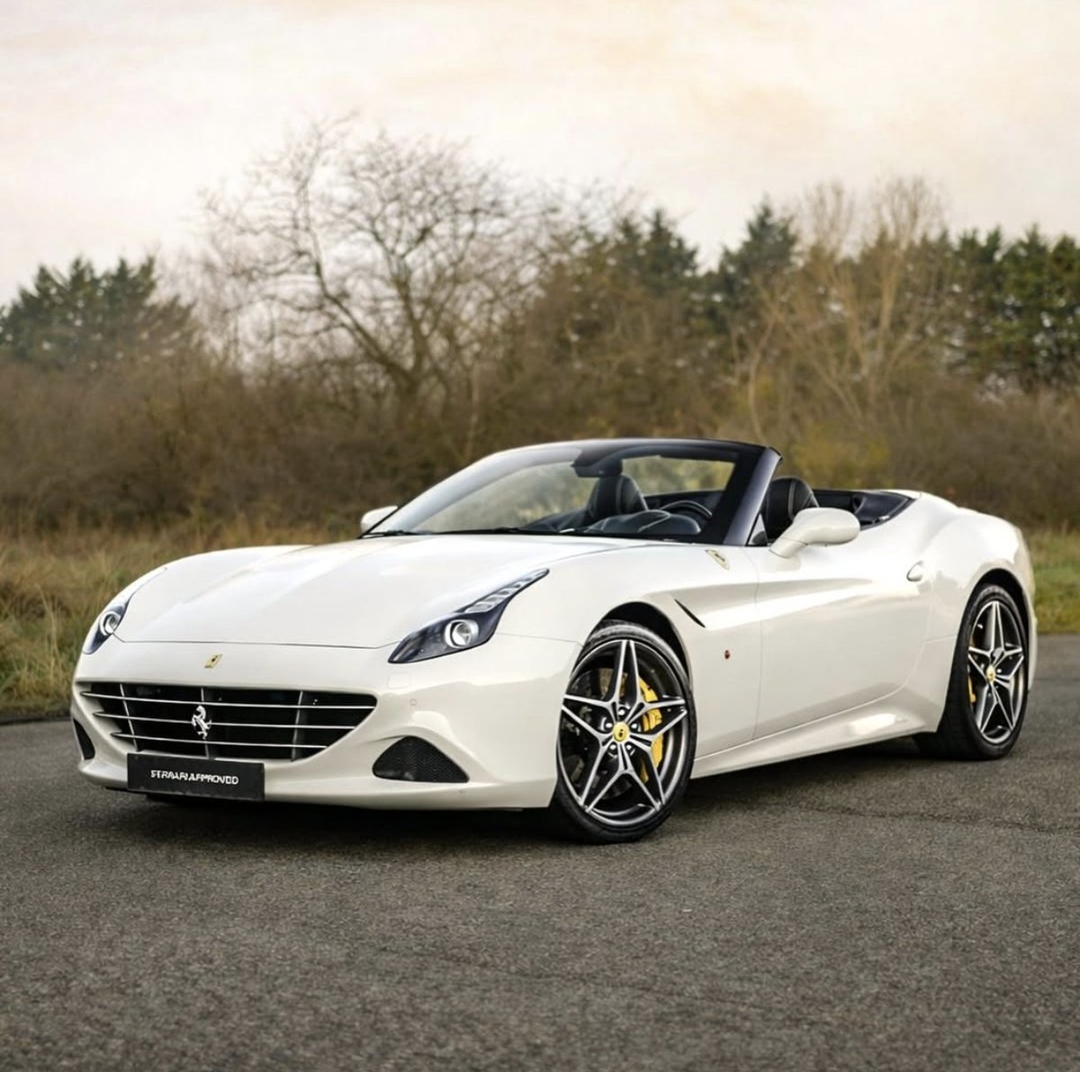 ๐ต๐๐๐๐๐๐ ๐ฟ๐๐๐ tweet media