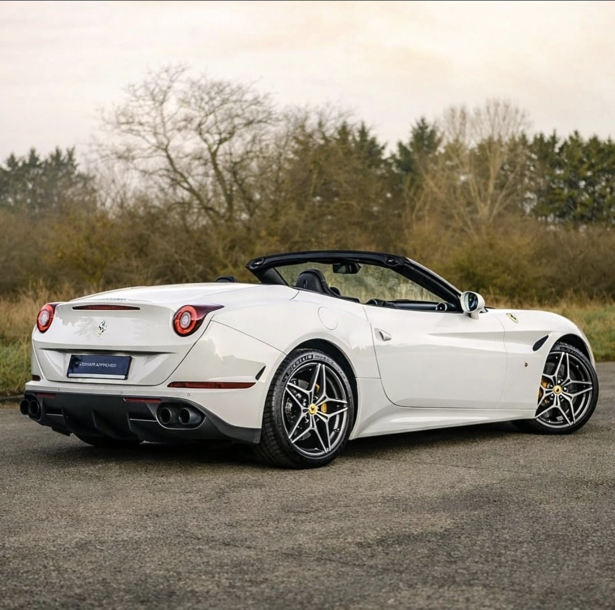 ๐ต๐๐๐๐๐๐ ๐ฟ๐๐๐ tweet media