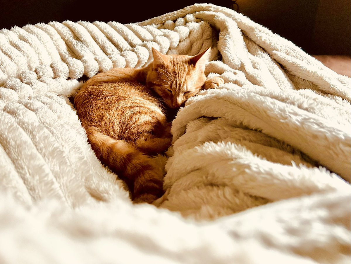 𝓂𝑒𝓁 ☾ tweet media