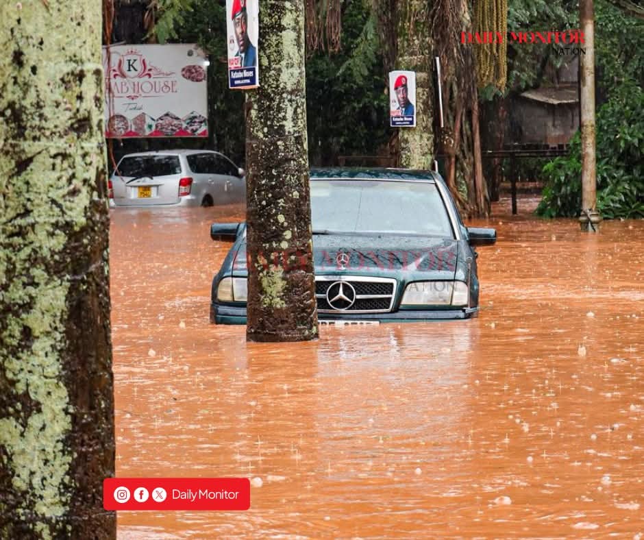 BOBI WINE tweet media