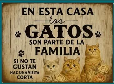 O de plano, no vengas!