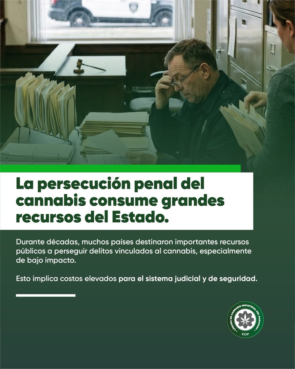 Cámara de Cannabis Industrial del Paraguay tweet media
