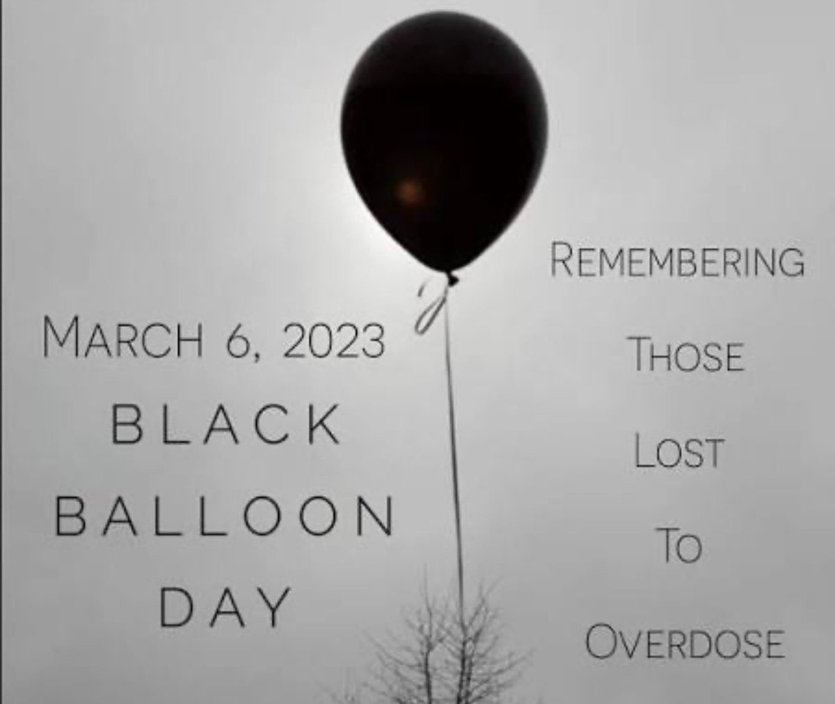 Jersey Jerry tweet media