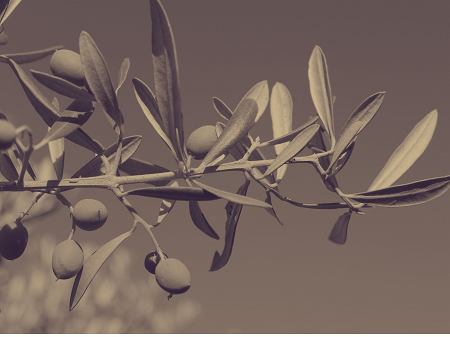 Biotech-Spain.com tweet media