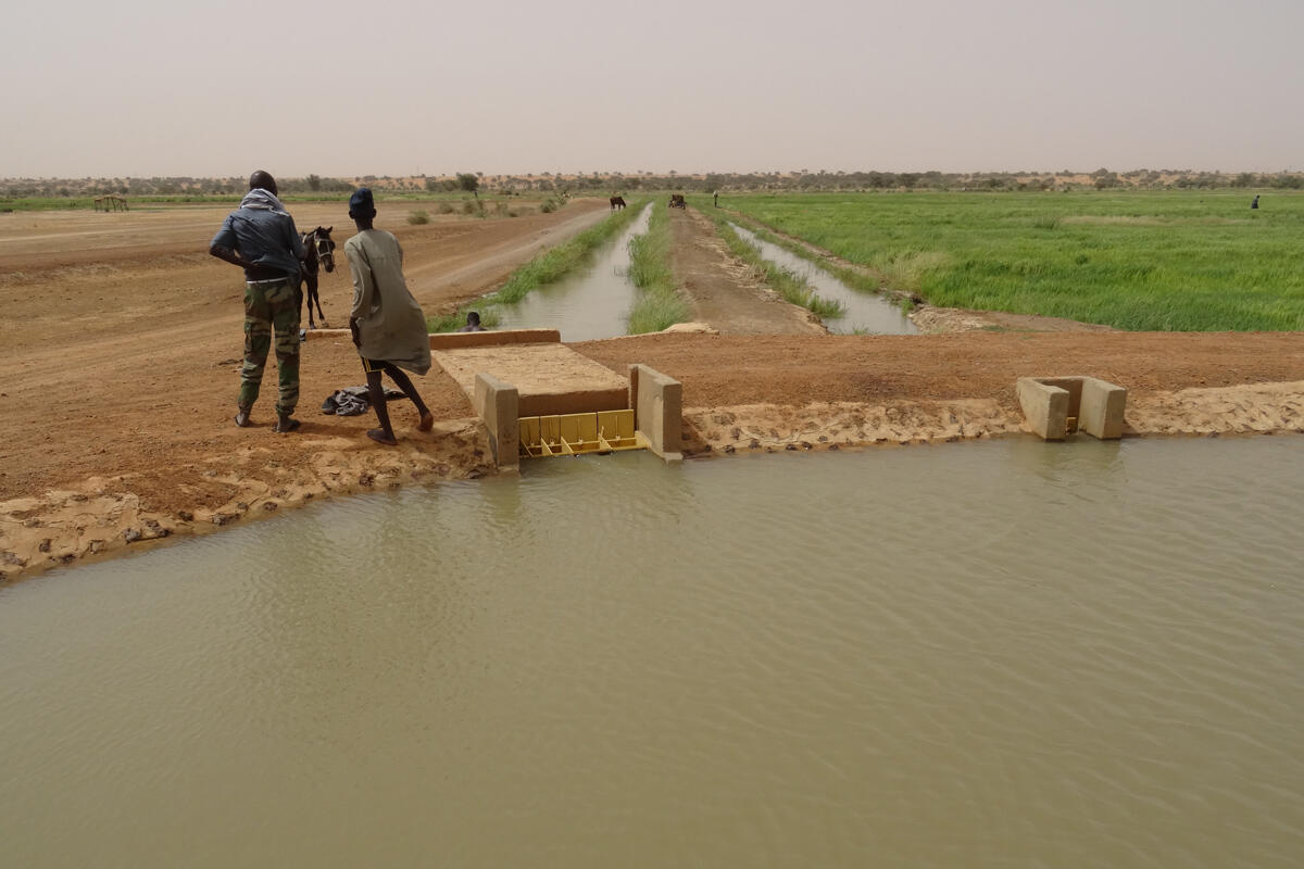 Berkeley Agricultural and Resource Economics tweet media