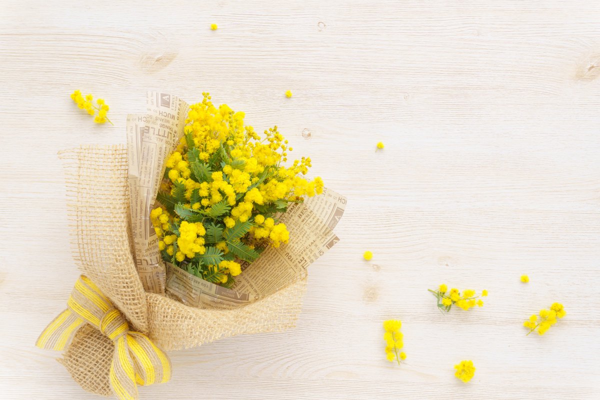 Ambassade du Japon au Sénégal tweet media