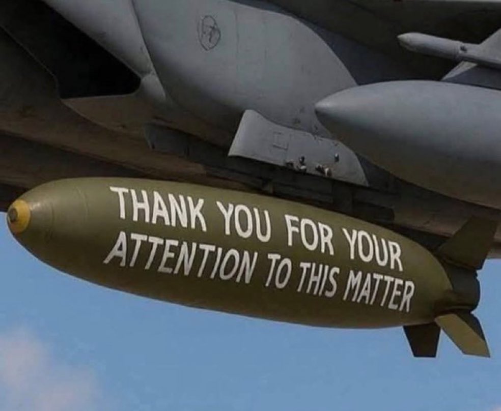 MosquitoMogul's tweet image. 